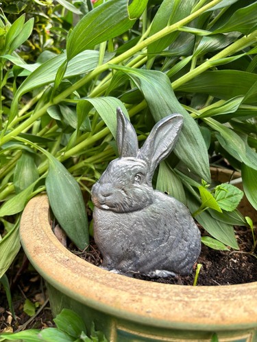 Lead garden ornaments - garden, on