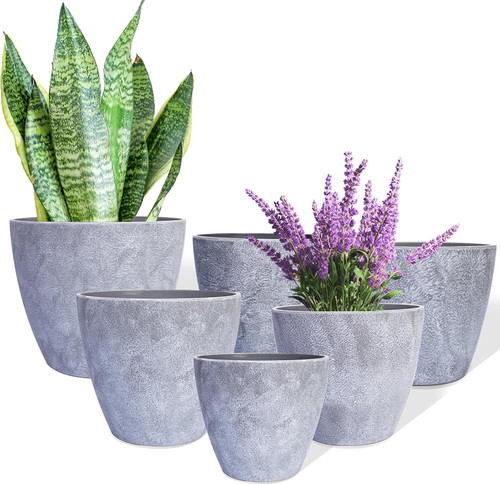 Plant pots indoor - pots,