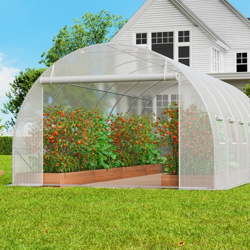 Walk tunnel greenhouse - walk-in,
