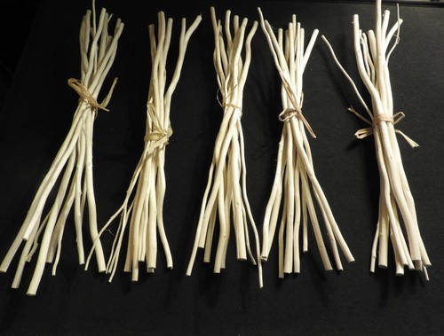 Willow reeds sticks for dried - willow,