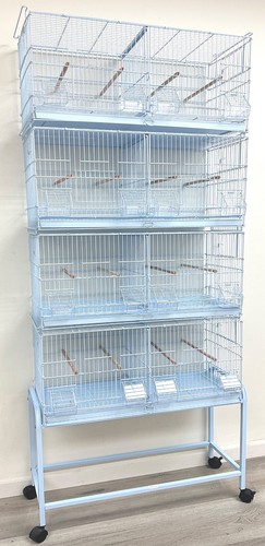 Large lot of bird parrot - 30",