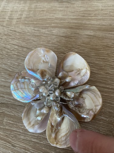 Mother pearl oval brooch - oval,