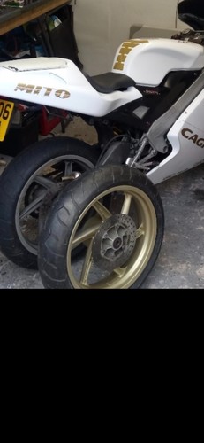 Cagiva mito planet - mito, rear