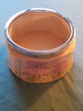 Coronet Ware Parrot & Co Fruit