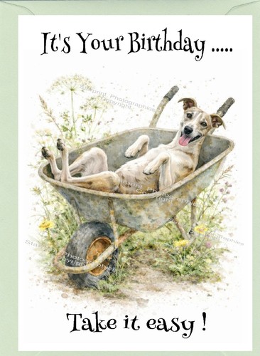 Whippet dog birthday - birthday, card