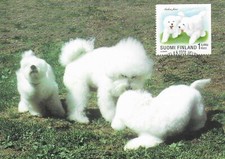 Poodle Bichon Frise Puppies Dog Finland Mint Maxi FDC 1998