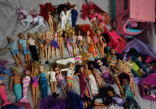 Large barbie bundle includes - large,