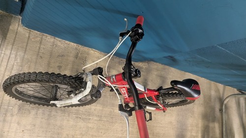 Carrera kids bike - kids,