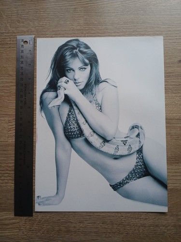 Liz hurley elizabeth sexy - hurley,