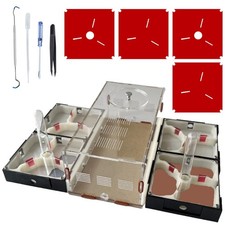 Ant Farm Nest Science DIY