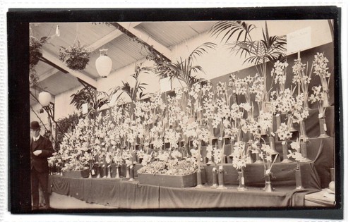 Postcard size photograph - photograph, of