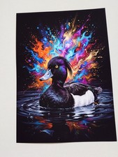 Original Tufted Duck Art, Duck