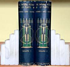 The Natural History of Plants Kerner and Oliver Gresham 1904 Talwin Morris Bindi