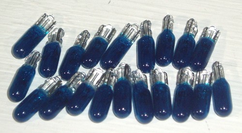 Small 5mm blue fruit - x,