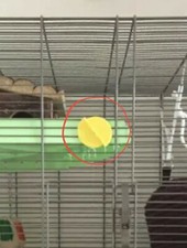 Shelf platform Screws x4 fits Savic Ferplast Freddy Pet Rat Cage Bracket In Grey