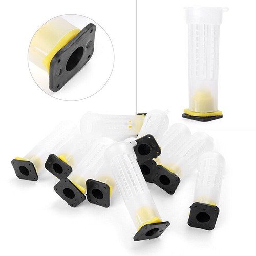 Beekeeping rearing cup kit - rearing,