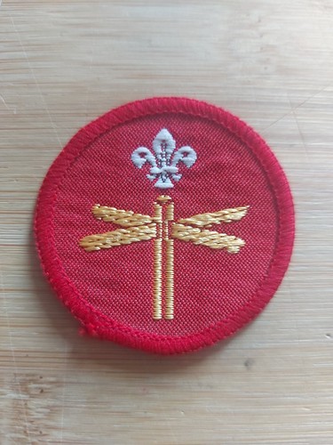 Scouting discontinued - scouting,