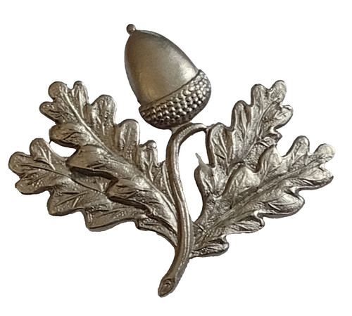 South nottinghamshire hussars - south,