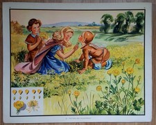 Eileen Soper Vintage Poster/Print: Tick-Tock And The Buttercup