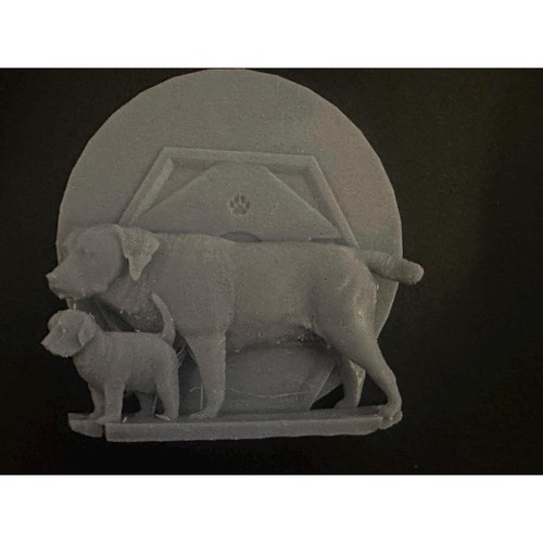 Labrador retriever with - labrador,
