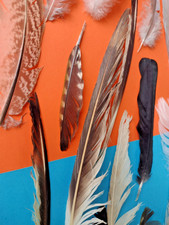 21x FREE FALLEN real feathers