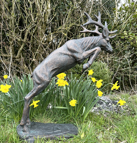 Jumping leaping stag deer - jumping,