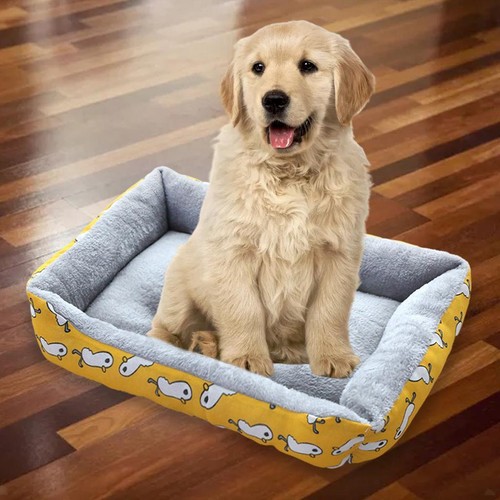 Dog bed pet - dog,