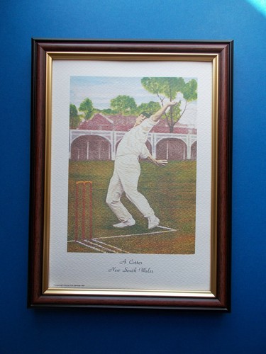 Cricket prints framed a - cricket,