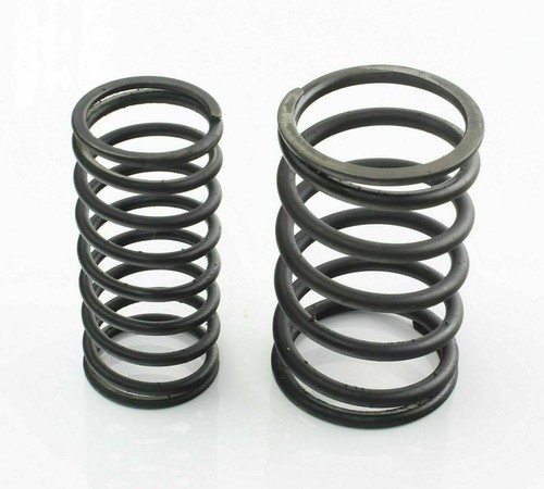 Valve springs jacobs radial - valve,