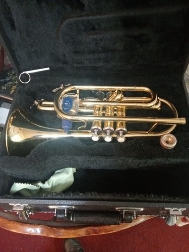 Brass cornet with case and - case,