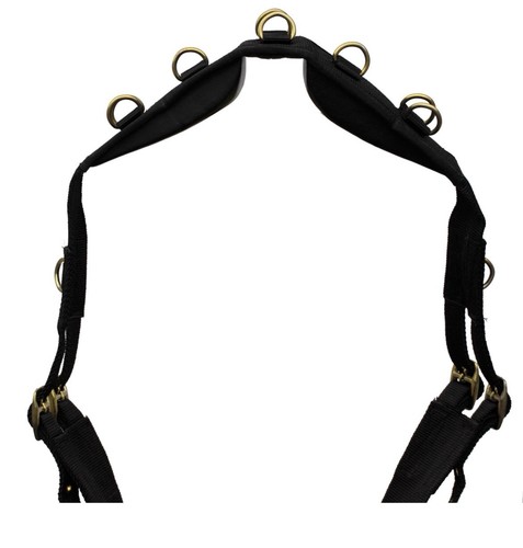 Nylon lunging roller - nylon,