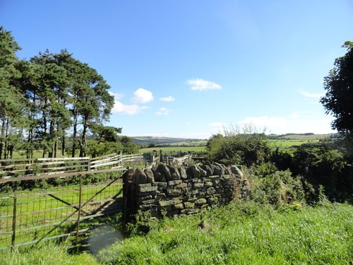 Photo sheep pens apperley - photo,