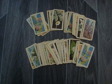 100 Brooke Bond Canada Tea