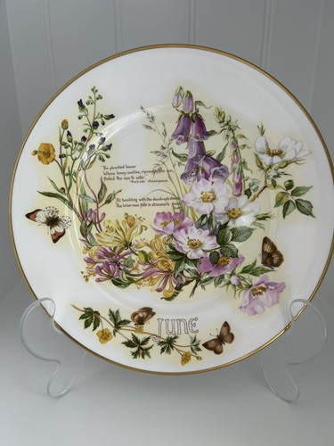 Caverswall june collectors - june,