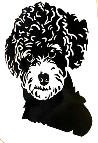 Toy poodle dog decal - dog, vinyl