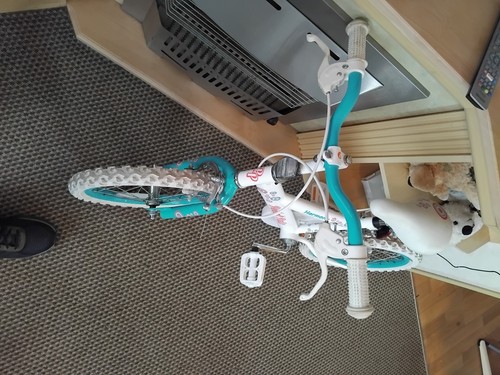 Girls pedal pals - pedal,