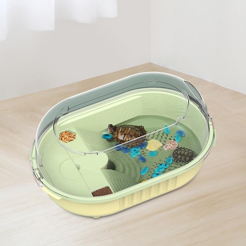 Turtle tank aquarium feeding - turtle,