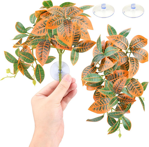 Pack reptile plants for - 2,