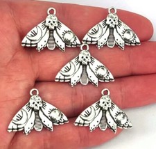 Gothic Death's Head Moth