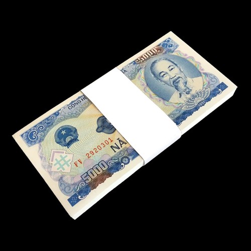 Vietnamese dong 5000 - dong,