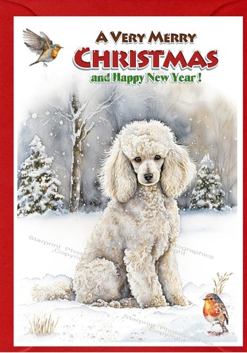 Poodle dog christmas - (white),