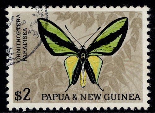 Australia papua new - -, guinea