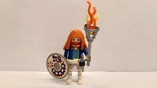 Playmobil Vikings Custom