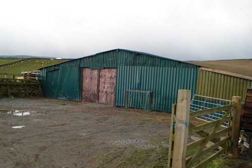 Photo 6x4 enclosed sheep - enclosed,