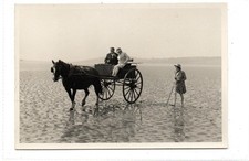 HORSE AND CART CROSSING