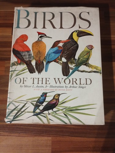 Birds the world - birds,