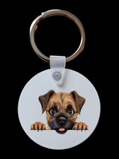 Peeking Peeping Border Terrier