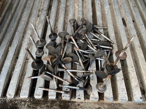 Chevy intake exhaust valve - intake,