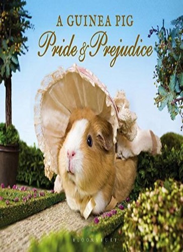 Guinea pig pride prejudice - guinea,
