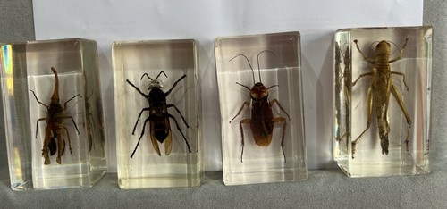 Bundle mixed bugs resin - bundle, in